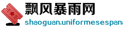 飘风暴雨网